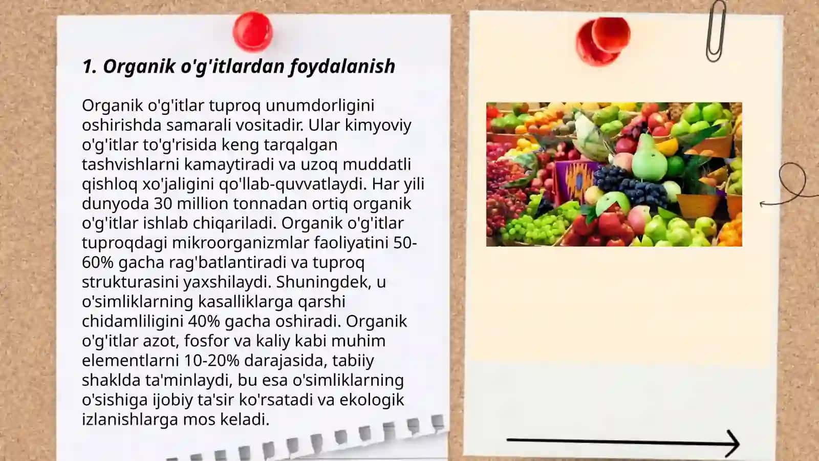 Ekologik toza qishloq xo'jaligi mahsulotlarini yetishtirish 3