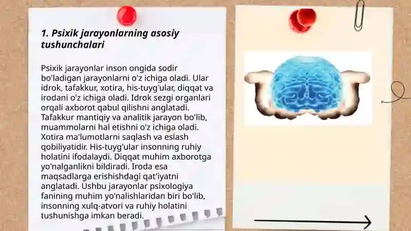 Psixik jarayonlar va miyaning o'zaro aloqadorligi 3