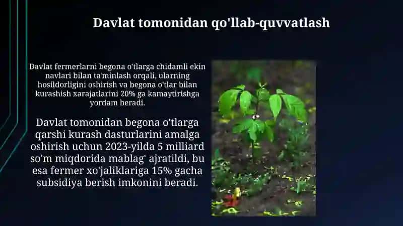 Begona oʻtlar tuproq iqlim sharoiti tarqalishi va ularga qarshi kurash 3