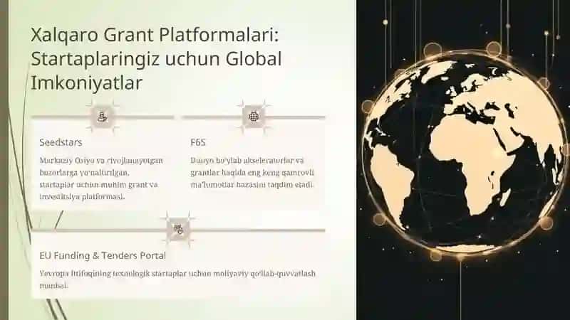 Grantlar, texnologik akseleratorlar va startaplar uchun grant dasturlari 3