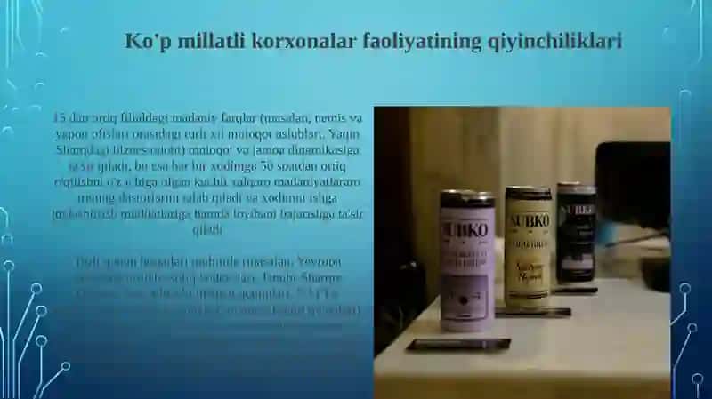 Transmilliy korporatsiyalar 3