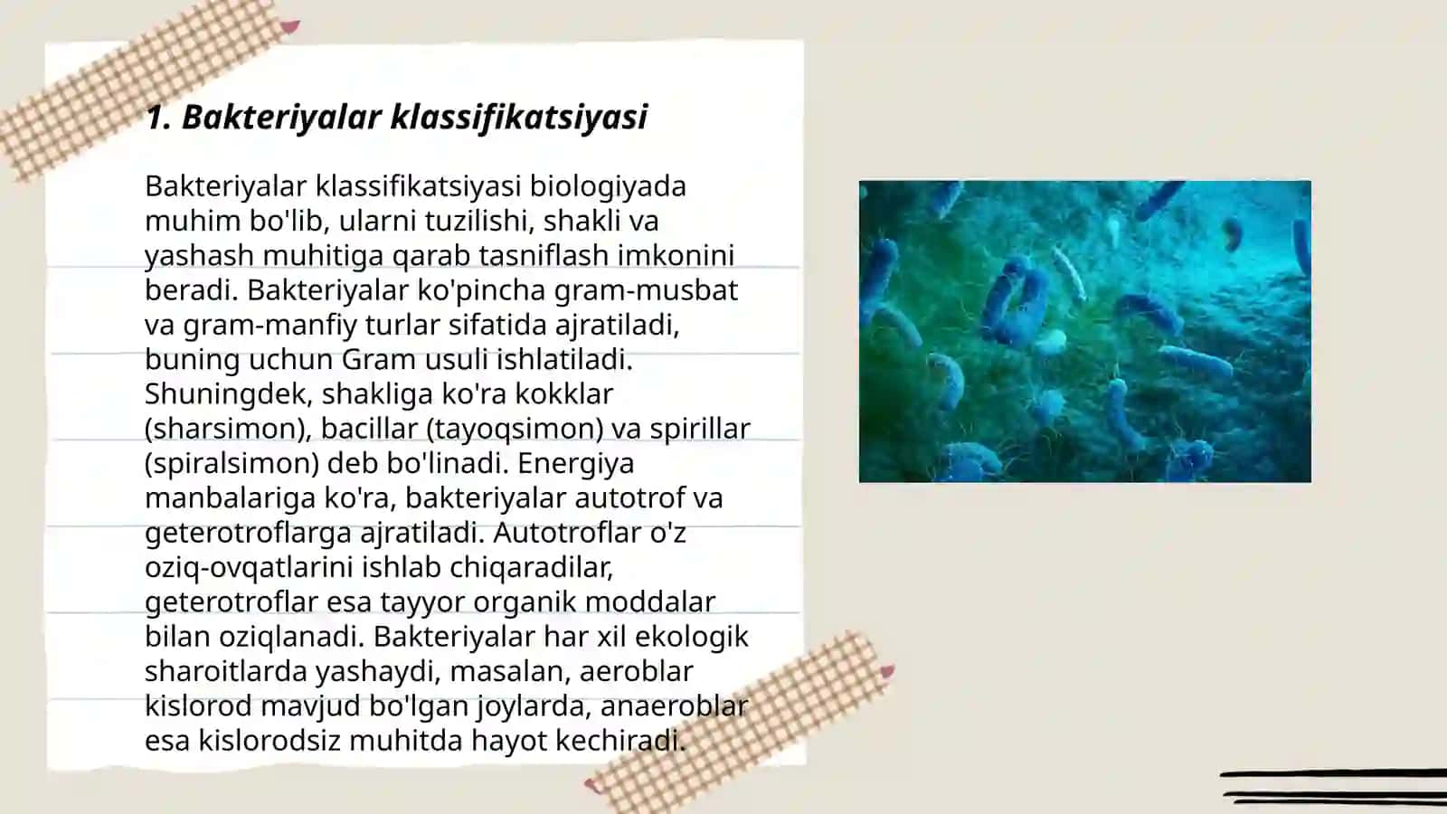 Bakteriyalar klassifikatsiyasi 3