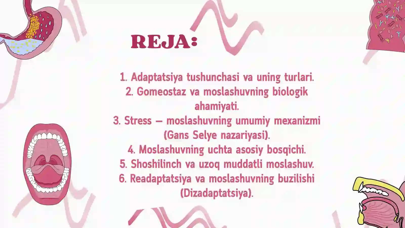 Organizmning moslashishi va uning bosqichlari 3