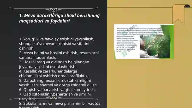 Meva daraxtlariga shakl berish va qirqish 3