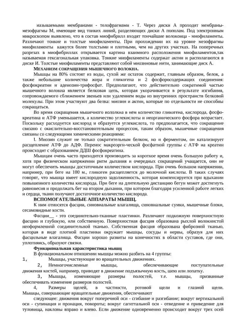 ЛЕКЦИЯ № 5 "ОБЩАЯ АНАТОМИЯ МЫШЕЧНОЙ СИСТЕМЫ. МЫЩЦЫ ТУЛОВИЩА" 3