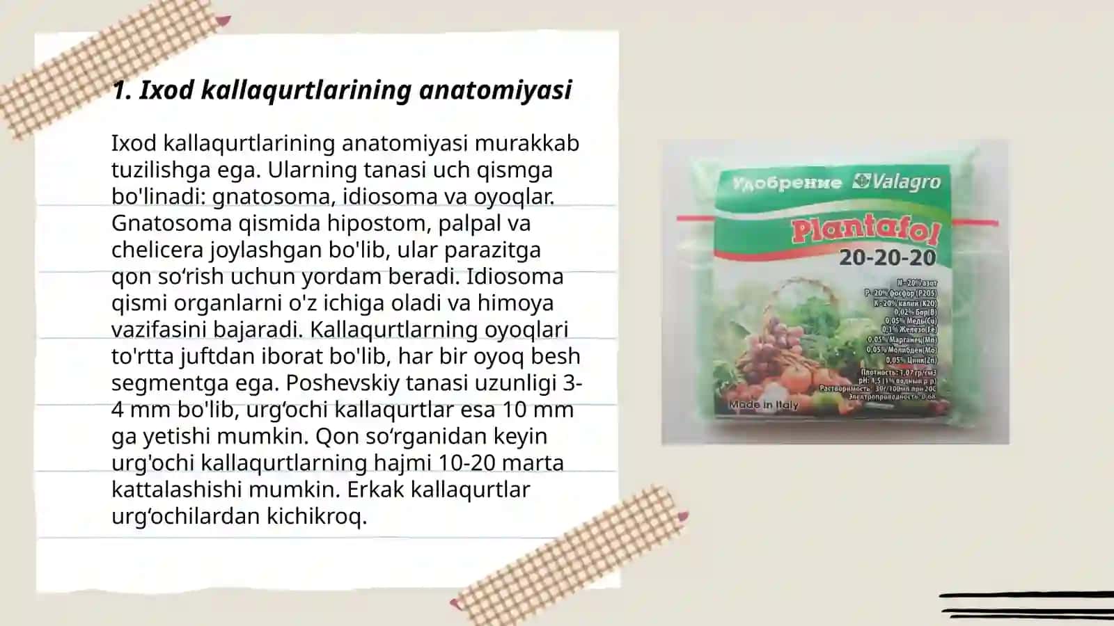 Ixod kallaqurtlarining anatomiyasi 3