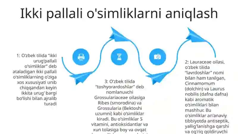 Ikki Urug'Pallali O'Simliklar 3