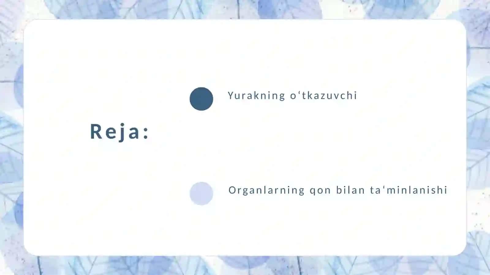 Yurakning o'tkazuvchi organlari tizimi 3