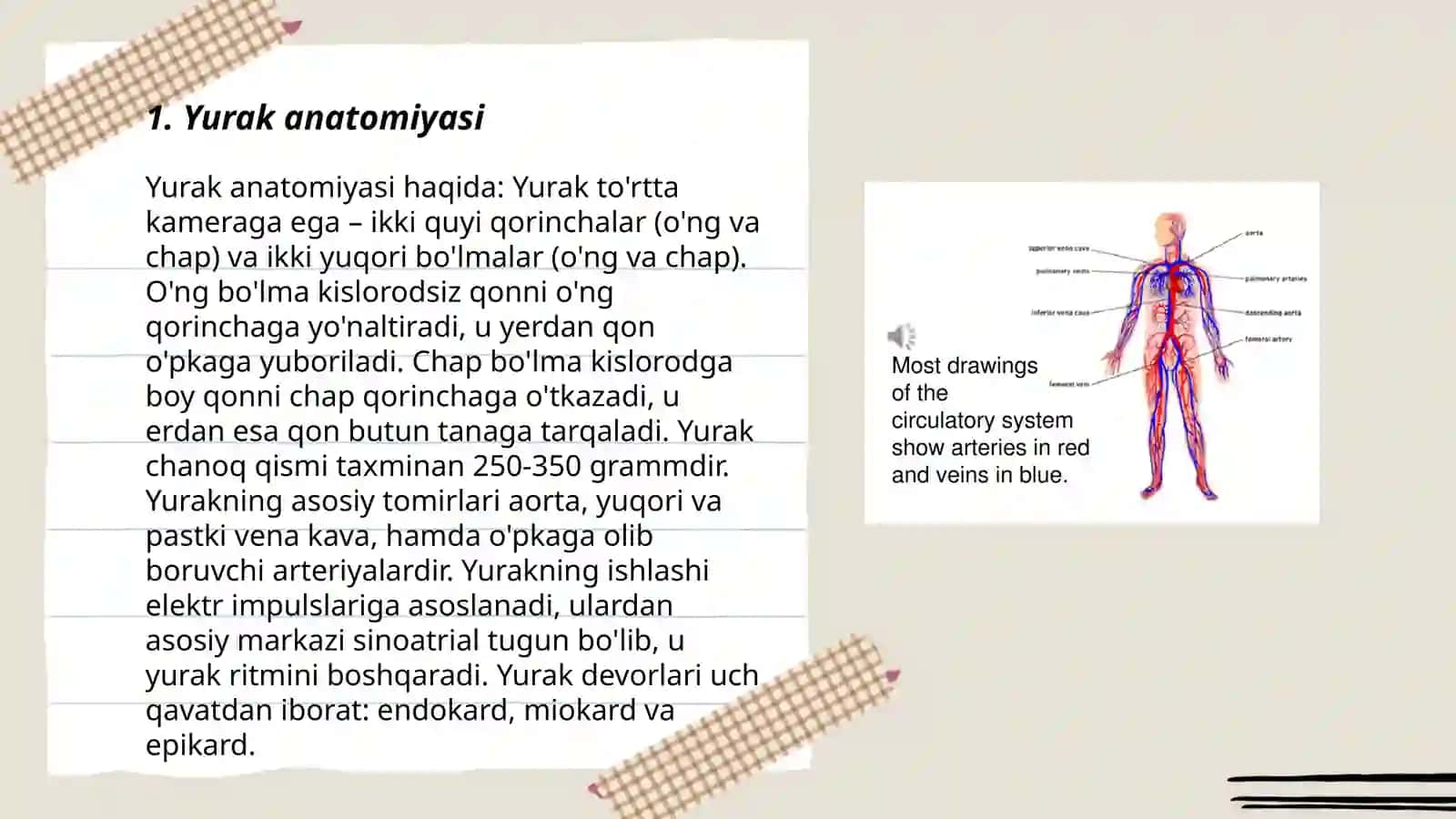 Qon va qon aylanish sistemasining anatomiyasi 3