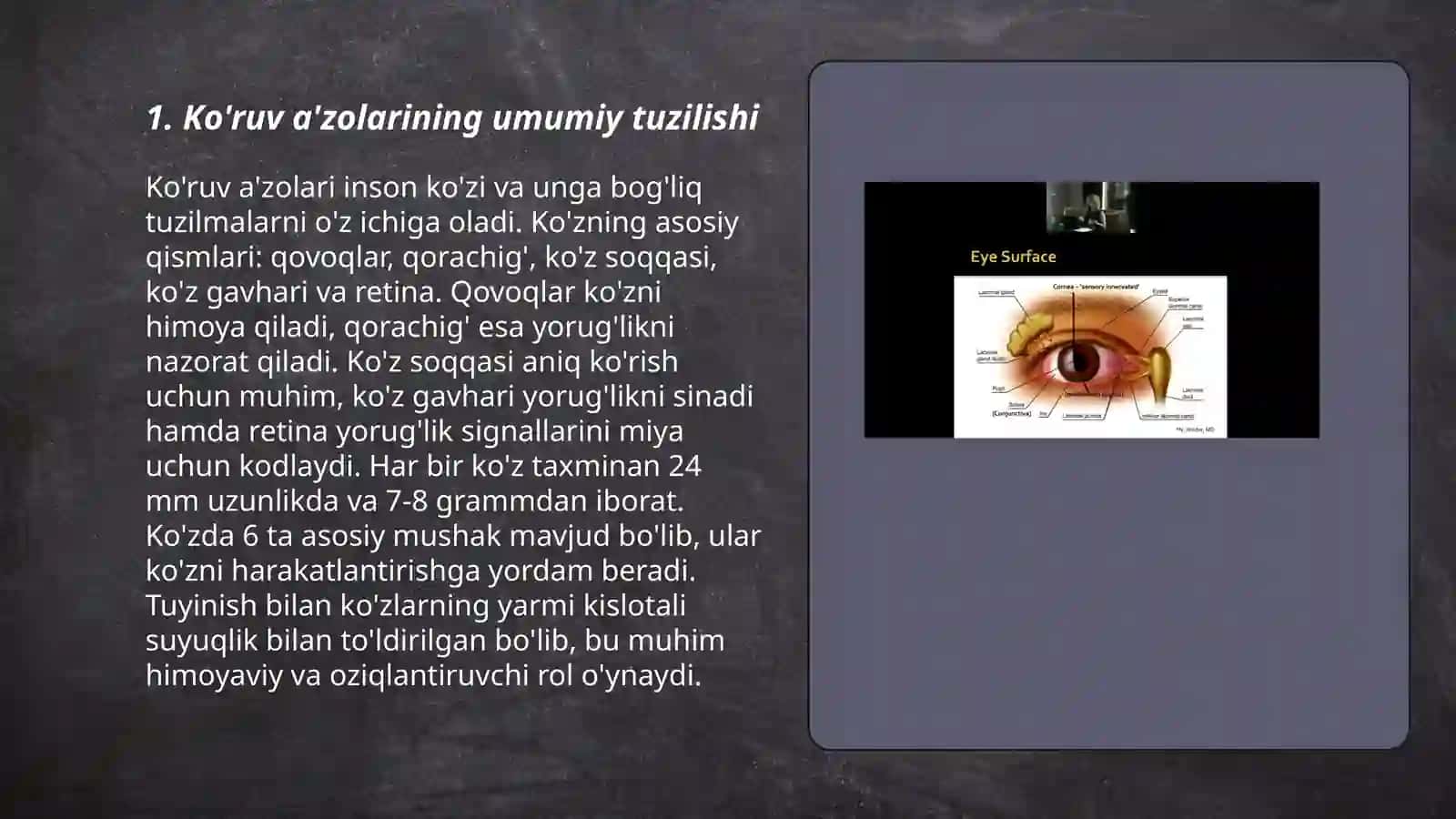 Ko'ruv a'zolarining tuzilishi va gistalogiyasi 3