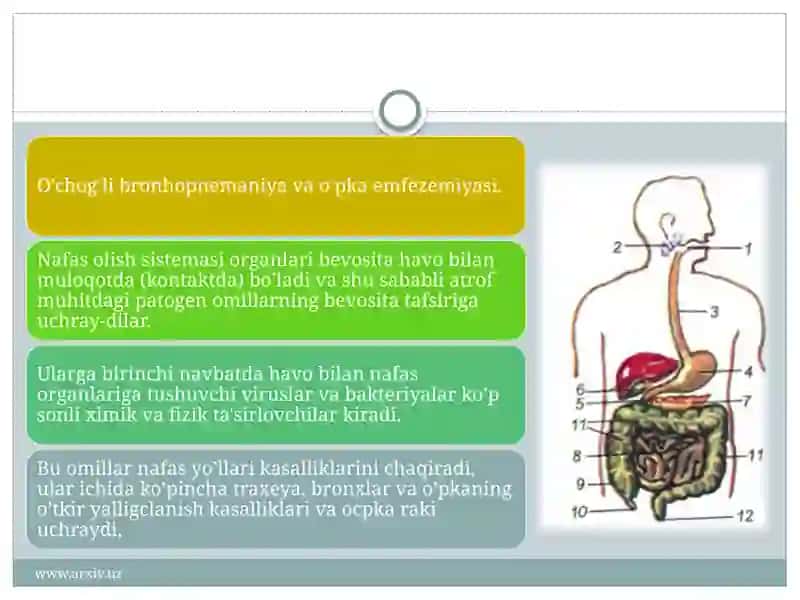 www.arxiv.uz 3