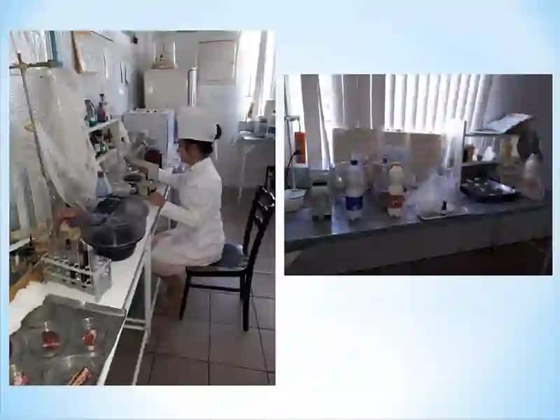 «ҚОРАМОЛЛАРНИНГ БРУЦЕЛЛЁЗ КАСАЛЛИГИДА СУТНИНГ ЭКСПЕРТИЗАСИ» 3