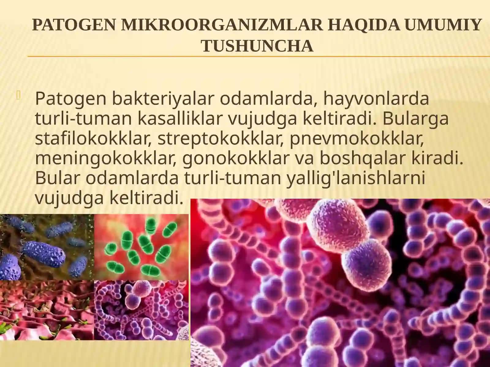 Patogen mikroorganizmlar 3