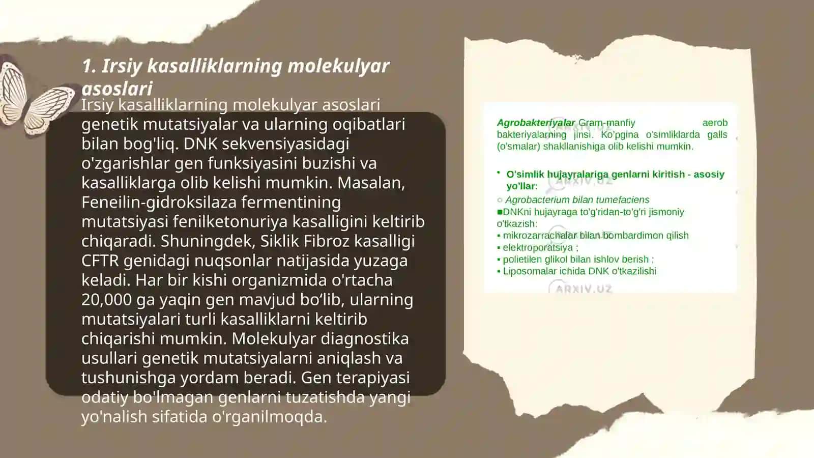 Irsiy kasalliklar klassifikaciyasi 3