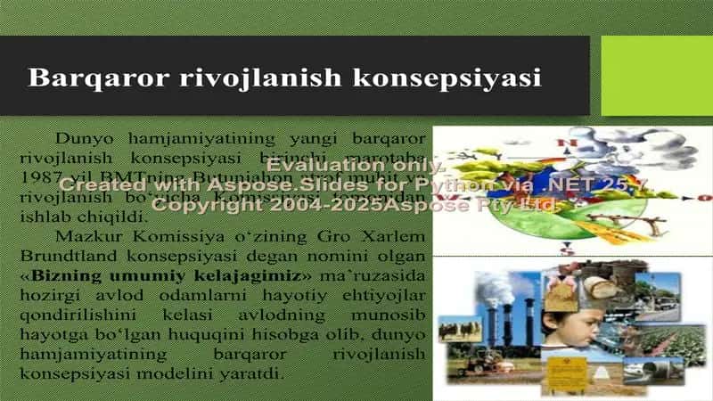 Barqaror rivojlanishga o'tishning xalqaro jihatlari 3