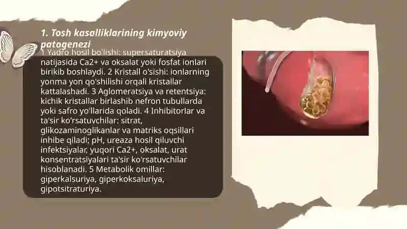 Tosh kasalliklarining kimyoviy asoslari 3