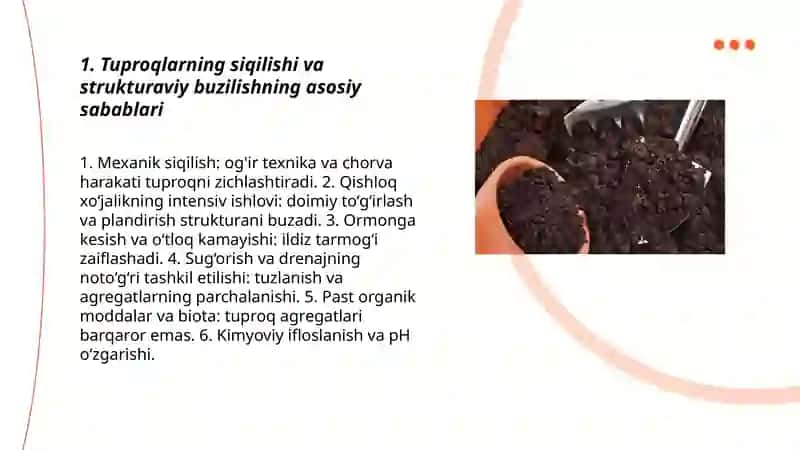 Tuproqlarning siqilish va strukturasining buzulishi muammolari 3