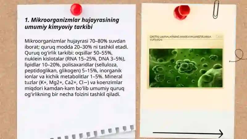 Mikroorganizmlar hujayrasining kimyoviy tarkibi 3