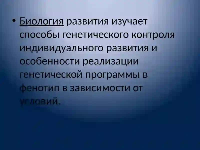 Биология индивидуального развития 3