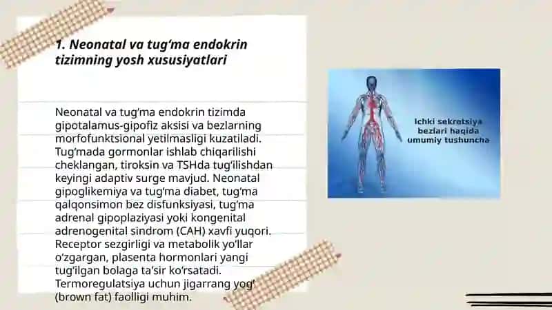 Neonatal va tug‘ma endokrin tizimning yosh xususiyatlari 3