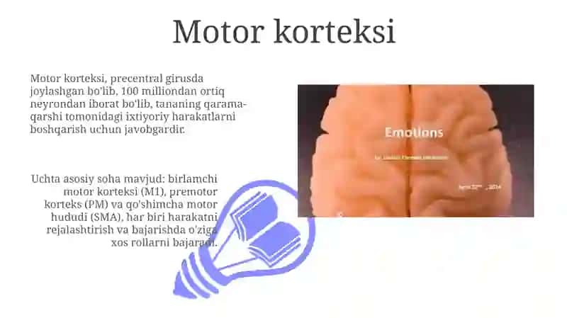 Psixofiziologik harakatni boshqarish 3