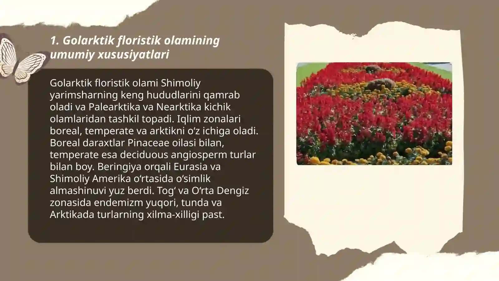 Golarktik floristik olami va uning kichik olamlari 3