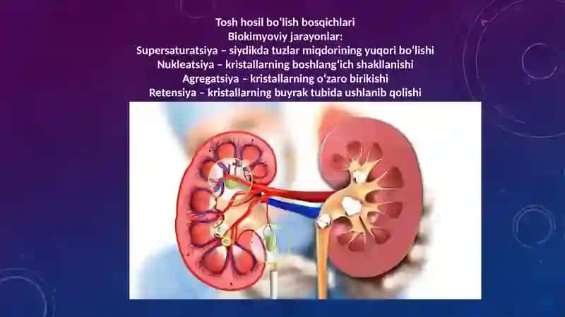 Buyraktoshlarining Biokimyoviy Mexanizmlari va Profilaktikasi 3