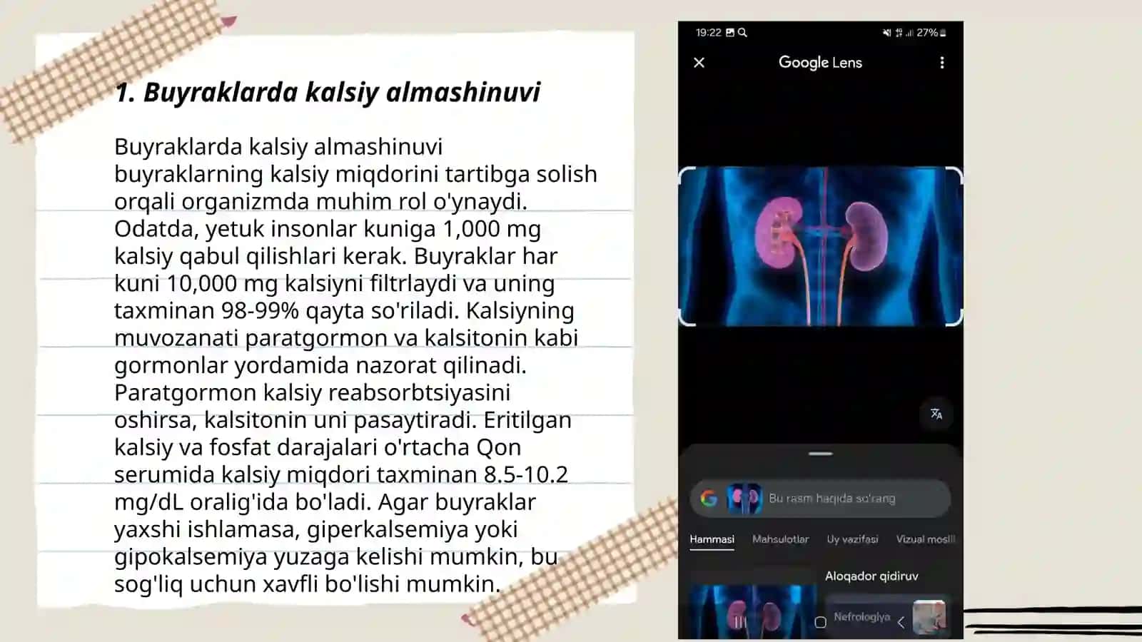 Buyraklarning kalsiy,fosfor va bikarbonat almashinuvidagi ahamiyati 3