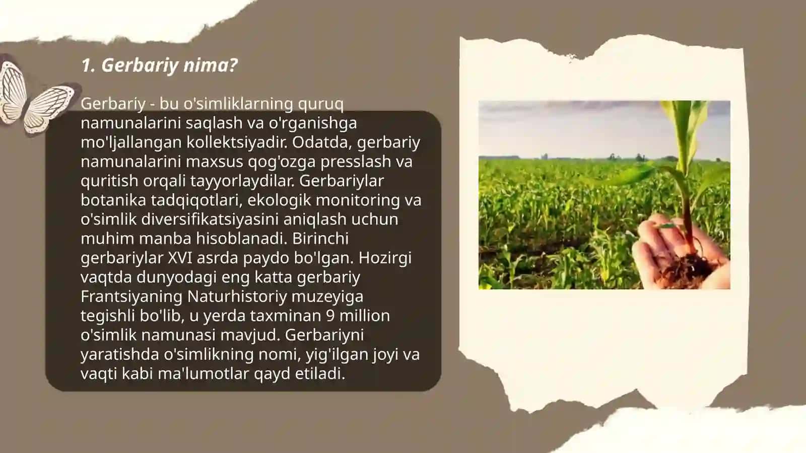 Gerbariy tayyorlash va tayyorlsh usullari haqida maʼlumot berish 3