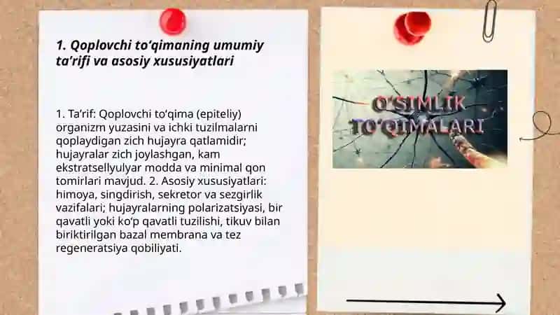 Qoplovchi toʻqimaning tuzilishi va ahamiyati 3
