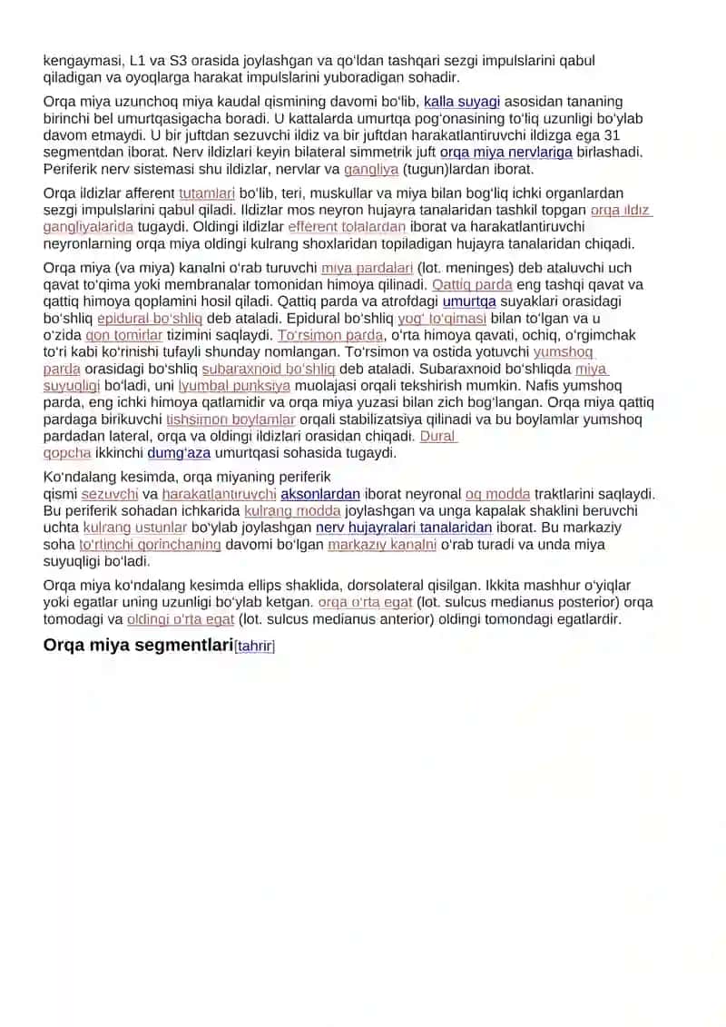 Orqa miya 3