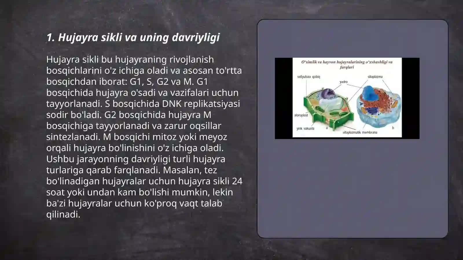 Hujayra sikli va uning davriyligi. Hujayraning bo‘linish usullari va bosqichlari. Interfaza. Autosintetik interfaza. Geterosintetik interfaza. Mitozning biologik va tibbiyotdagi ahamiyati (patalogiyasi). Mitozning xillari: amitoz, endomitoz 3
