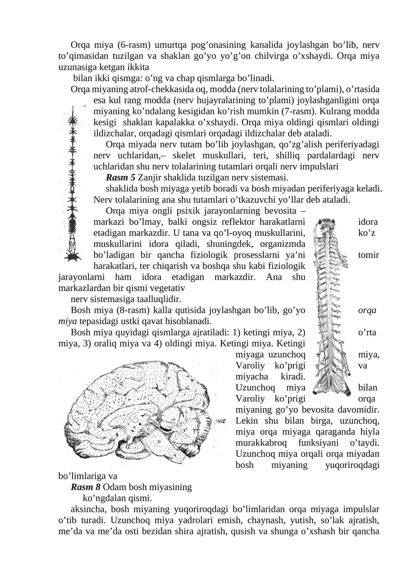MAVZU Xulq-atvorning psixofiziologik asosi 3