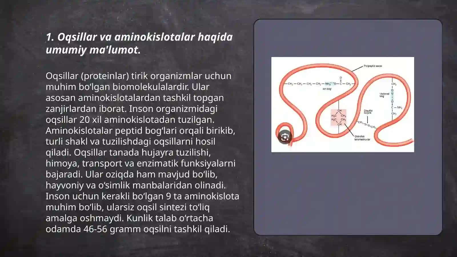 Oqsillar hazmlanishi va soʻrilishi.Aminokislotalar almashinuvining umumiy yoʻllari 3