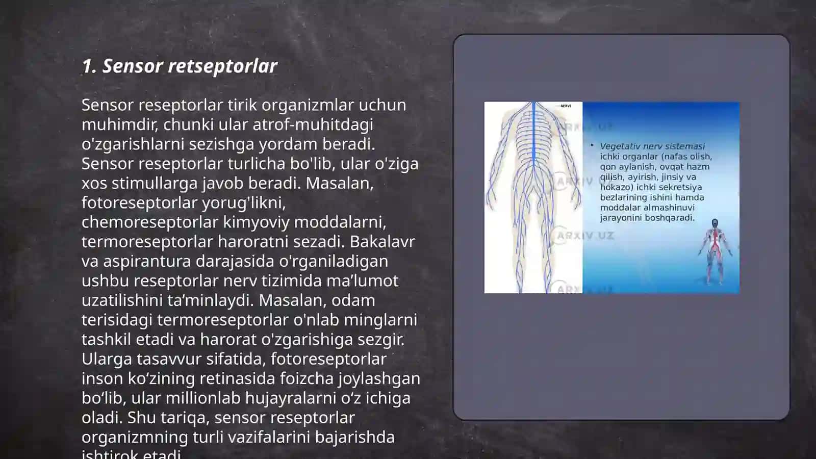 Sezgilarning nerv fiziologik asoslari 3