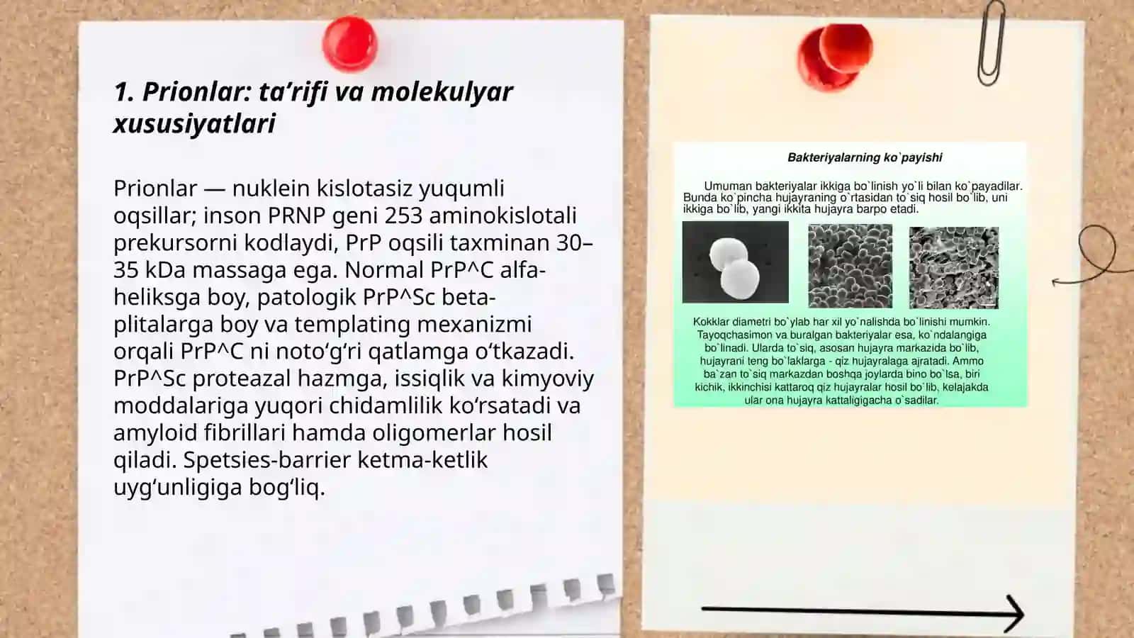 Prionlar: taʼrifi va molekulyar xususiyatlari 3