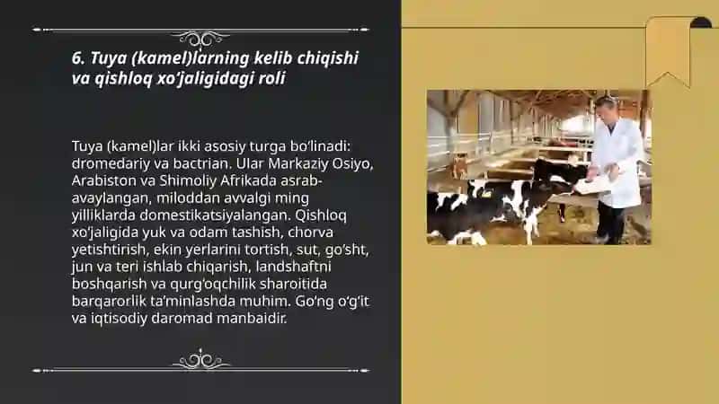 Har xil turdagi hayvonlarning kelib chiqishi. Qishloq xo‘jalik hayvonlarini urchitish fanidan 3