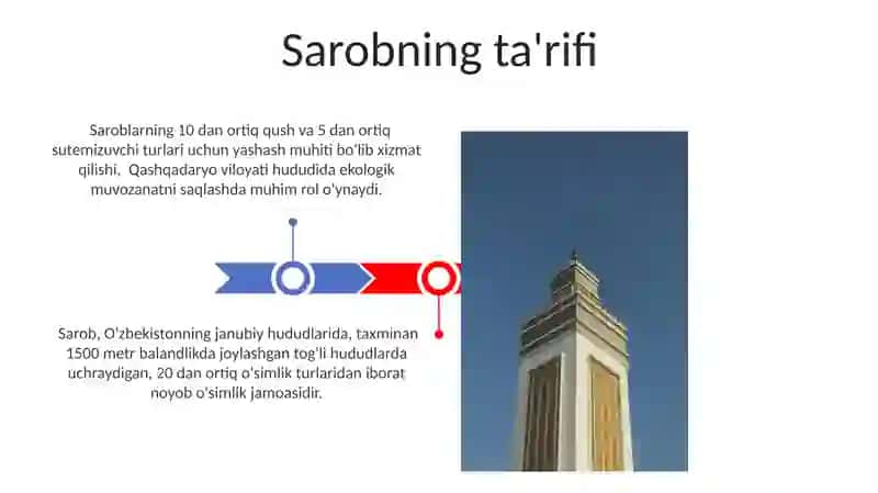 Saralab ol 3