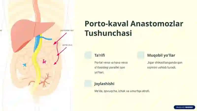 Kava-kaval va Porto-kaval Anastomozlar 3
