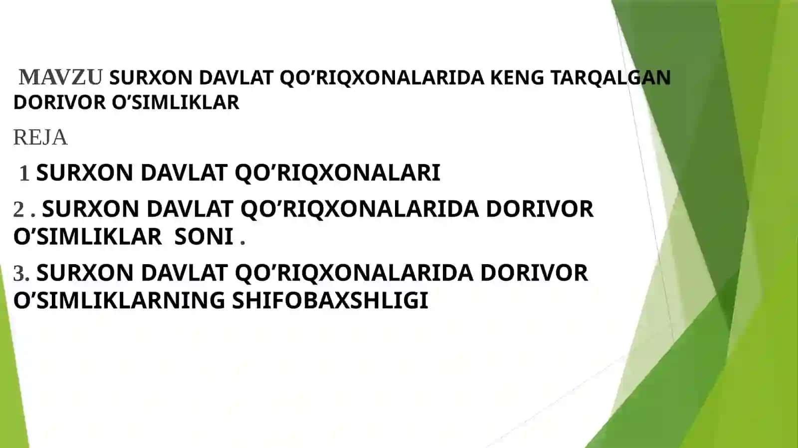 SURXON DAVLAT QO’RIQXONALARIDA KENG TARQALGAN DORIVORO’SIMLIKLAR 3