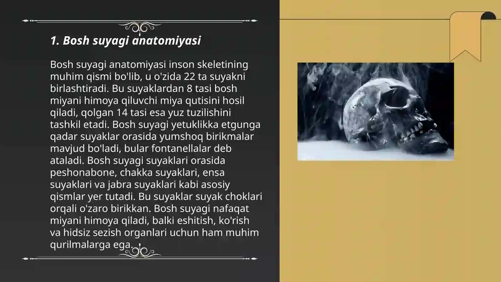 Bosh suyagi anatomiyasi 3
