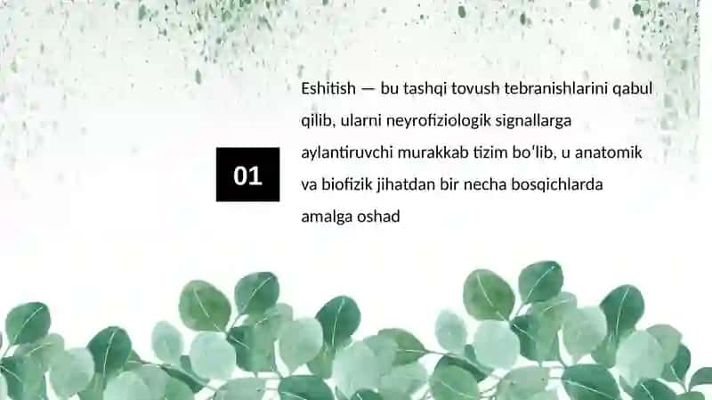 Eshitish qobiliyati va eshitish organlari. Koxlealar haqida maʼlumot.Litotripsiyani ahamiyati. Radiojarrohlikning inson uchun foydali tomonlari 3