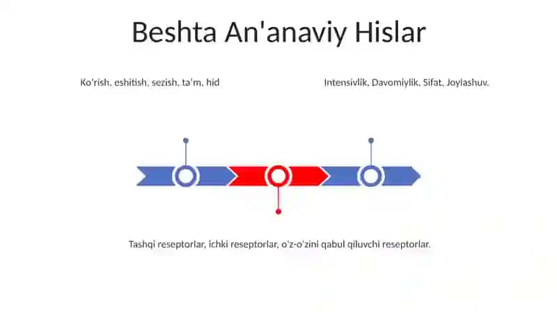 Sezgilar klassifikatsiyasi va sezgilarning o'zgaruvchan shakllari 3