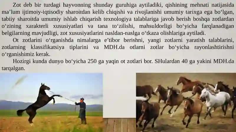 Ot Zotlari 3