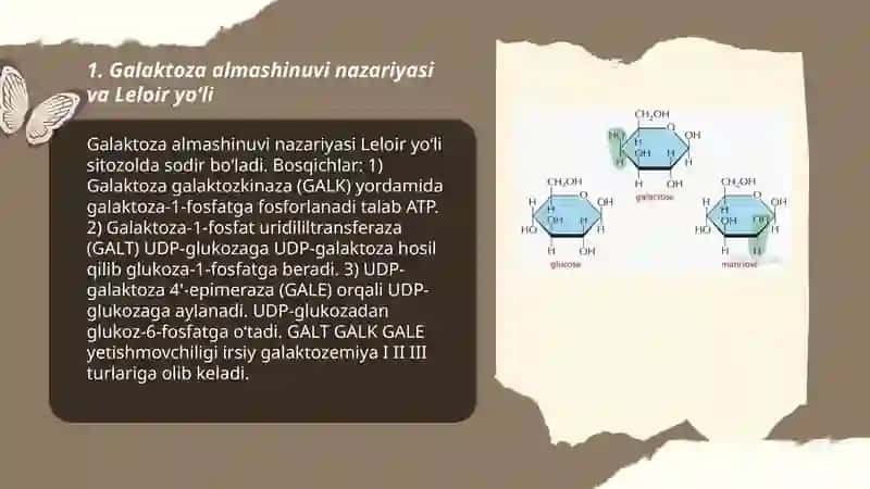 Galaktoza almashinuvi va irsiy galaktozemiya 3