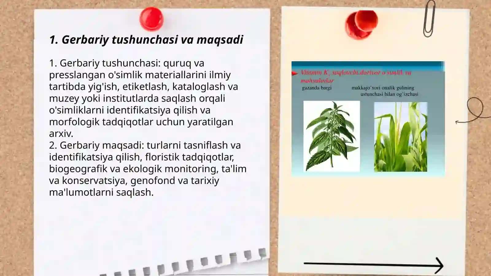 Gerbariy tayyorlash va tayyorlash usullari haqida maʼlumot berish 1-mustaqil taʼlim 3