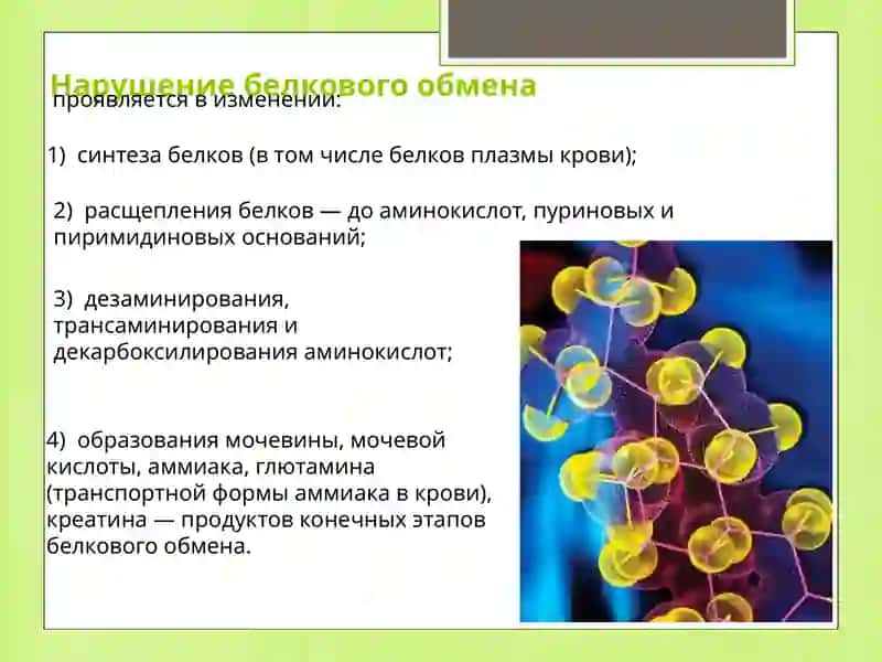 Нарушение белкового обмена при патологии печени 3