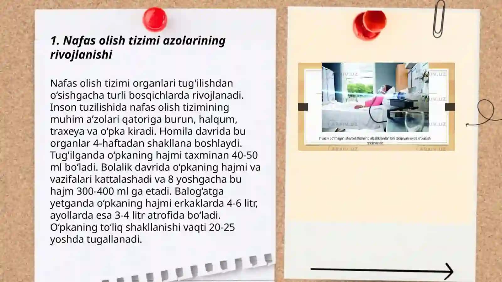 Nafas olish tizimi azolarining qiyosiy gistalogik tavsifi 3