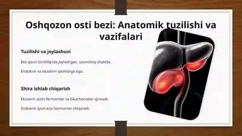 Oshqozon osti bezi shirasi tarkibi va ahamiyati 3