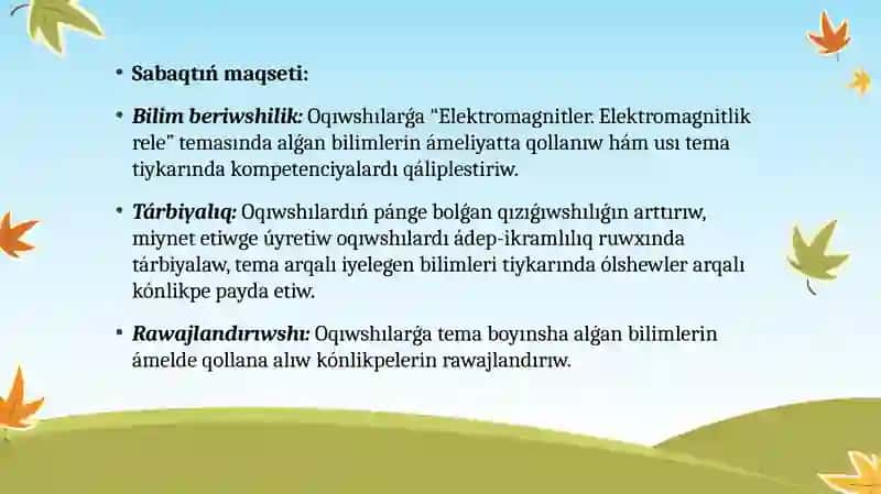 Elektromagnitler. Elektromagnitlik rele 3